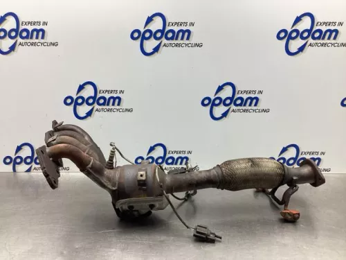 Katalysator-7977194 Katalysator-7977194