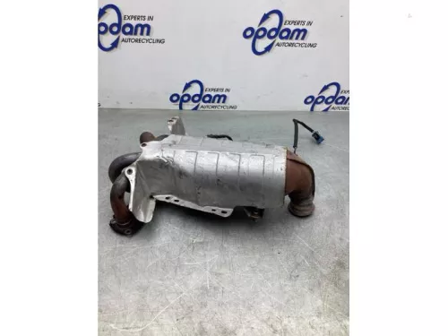 Katalysator-7977487 Katalysator-7977487