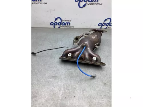 Katalysator-8197546 Katalysator-8197546