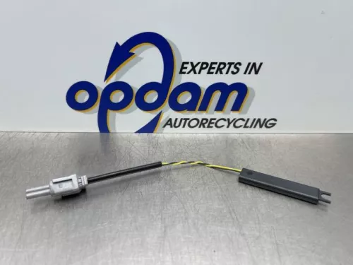 Keyless entry antenne-8324976