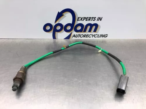 Lambda Sonde-7987764 (20364072)