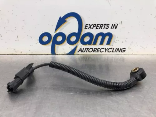 Pingelsensor-7940559 Pingelsensor-7940559