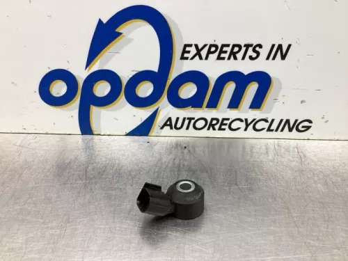 Pingelsensor-7767055