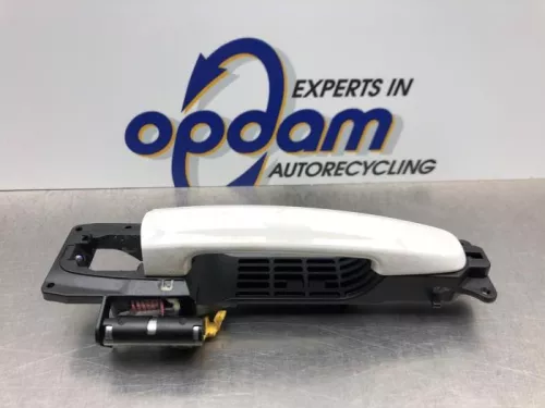 Portiergreep 4Deurs links-voor-8069878