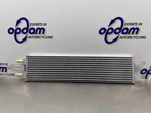 Radiateur-8095104