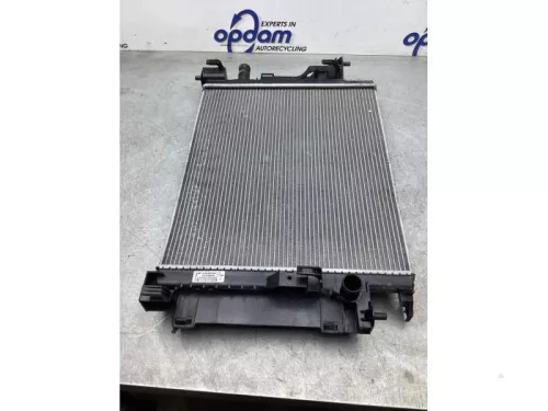 Radiateur-7980130
