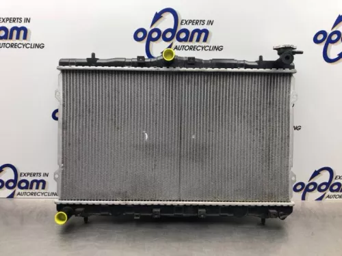 Radiateur-8144231 (21139307)