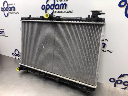 Radiateur-8144231 (21139307)