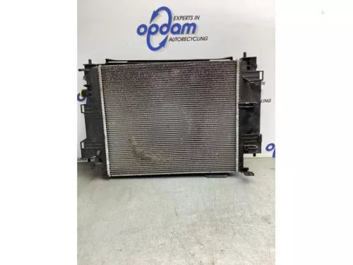 Radiateur-8044612 (21741821)