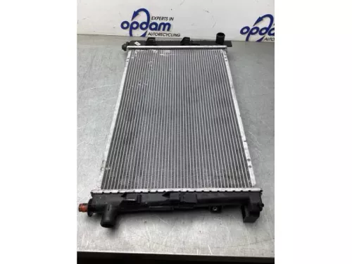 Radiateur-8196918