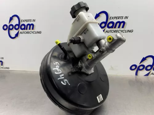 Rembekrachtiger-8131101