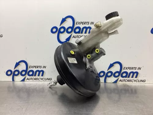 Rembekrachtiger-8077182