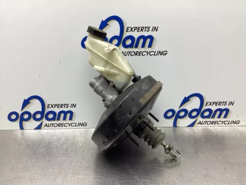 Rembekrachtiger-7923551