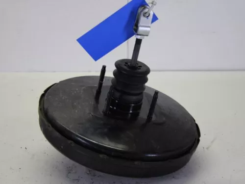 Rembekrachtiger-7883211