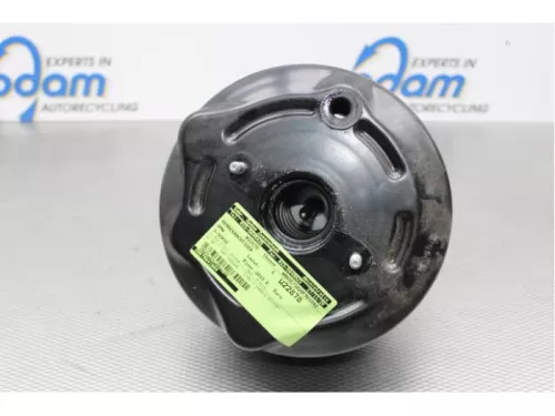 Rembekrachtiger-6054770