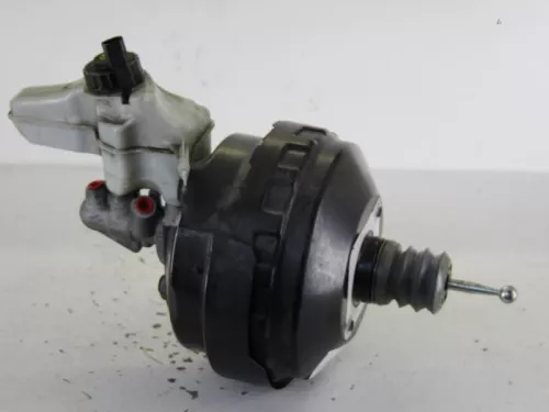 Rembekrachtiger-7886253