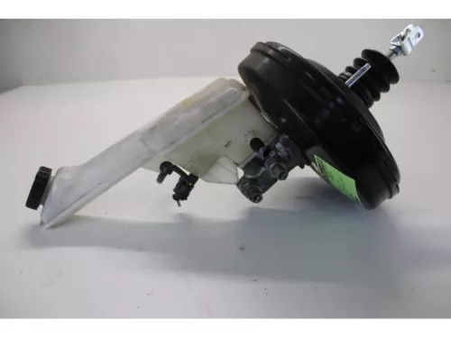 Rembekrachtiger-7613824