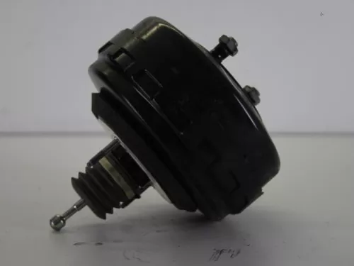 Rembekrachtiger-7886749