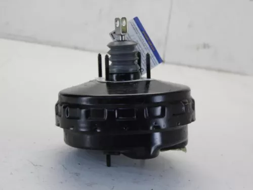 Rembekrachtiger-7609265