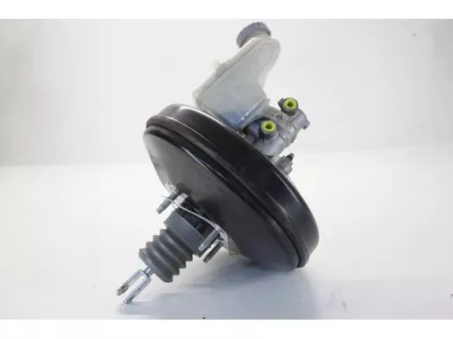 Rembekrachtiger-7878644