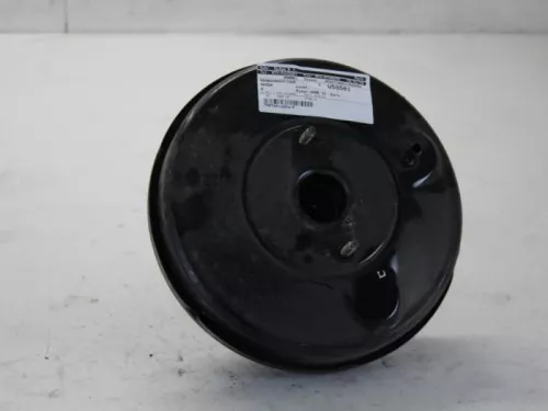 Rembekrachtiger-7879393