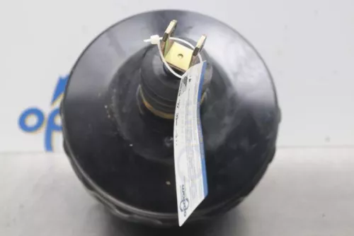 Rembekrachtiger-7612785