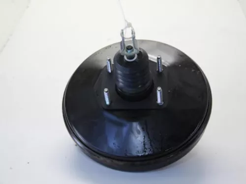 Rembekrachtiger-7714614