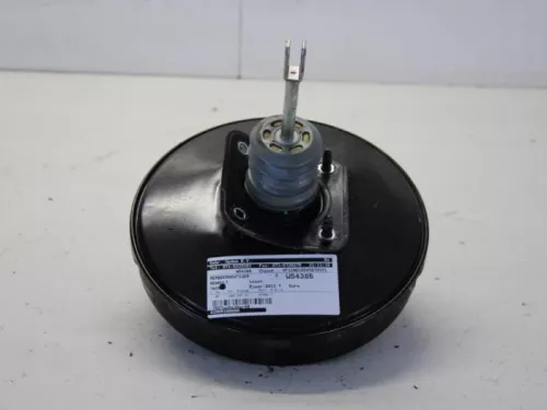 Rembekrachtiger-7882551