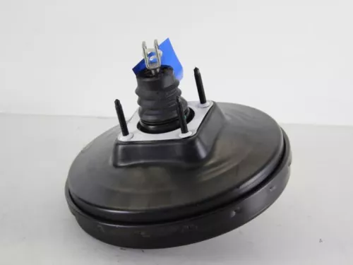 Rembekrachtiger-7887328