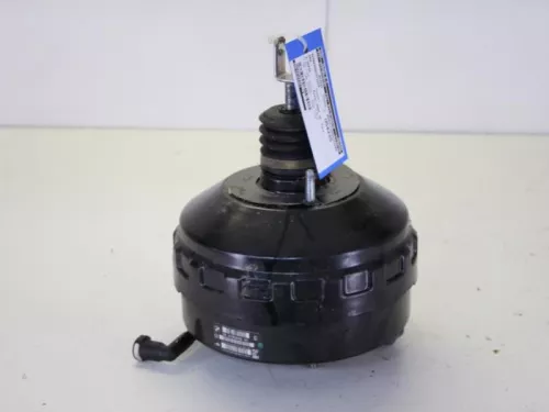 Rembekrachtiger-7882711