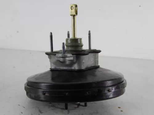 Rembekrachtiger-7887502