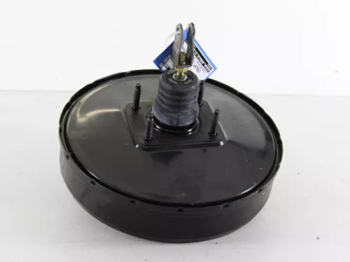 Rembekrachtiger-7619392