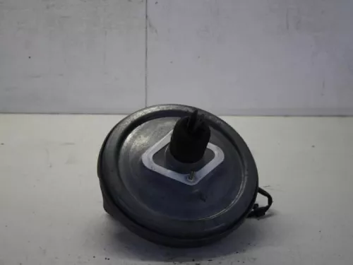 Rembekrachtiger-7611843