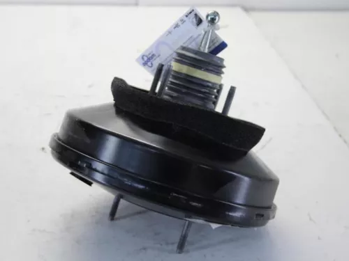 Rembekrachtiger-7881072