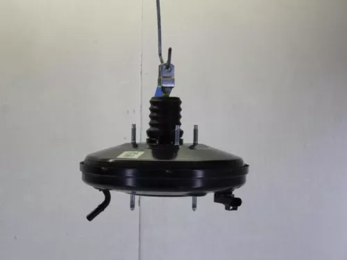 Rembekrachtiger-7729085