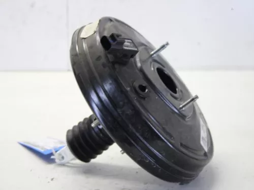 Rembekrachtiger-7619379