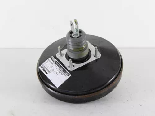 Rembekrachtiger-7889214