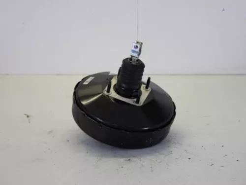 Rembekrachtiger-7885611