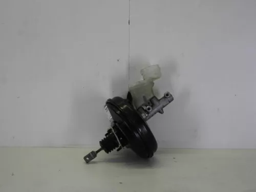 Rembekrachtiger-7885082