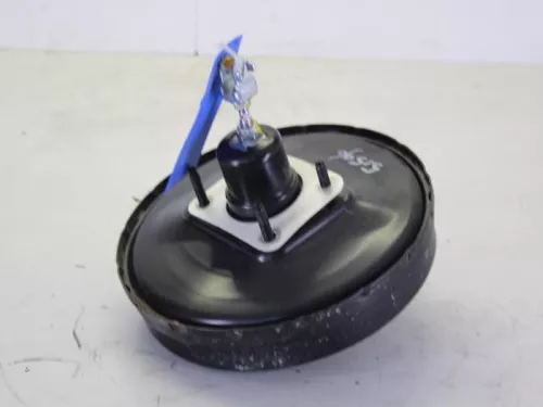 Rembekrachtiger-7612378