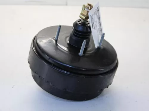 Rembekrachtiger-7880912