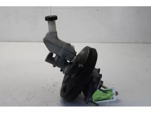 Rembekrachtiger-7879373