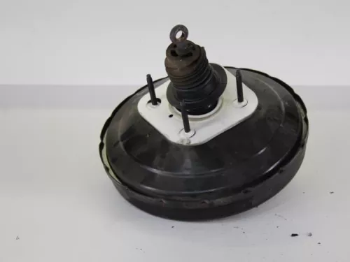 Rembekrachtiger-7886441