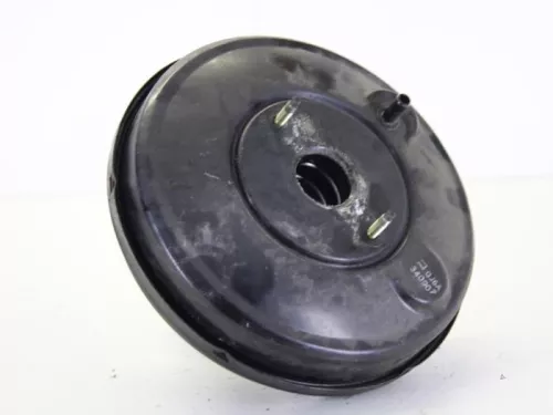 Rembekrachtiger-7610993