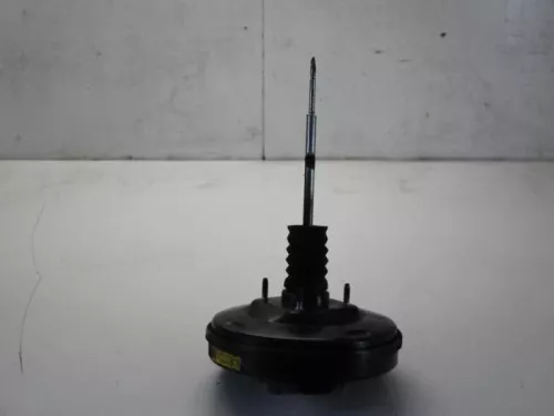 Rembekrachtiger-7879371