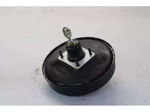 Rembekrachtiger-7610837