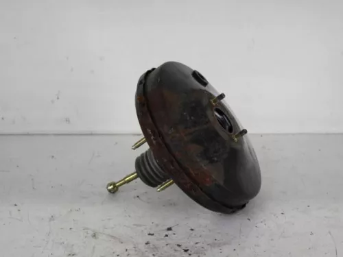 Rembekrachtiger-7766378