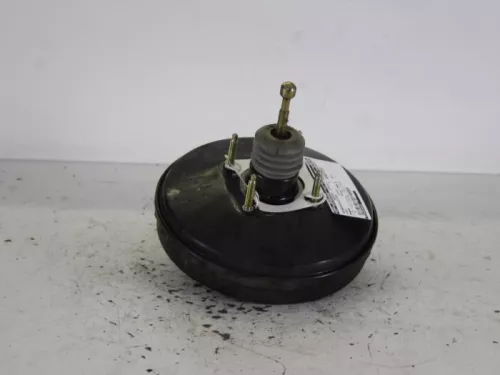 Rembekrachtiger-7887504