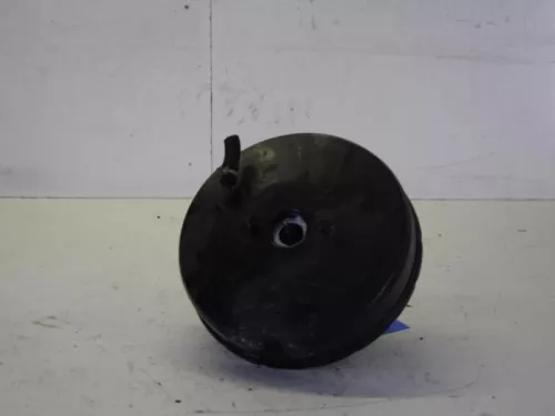 Rembekrachtiger-7882901