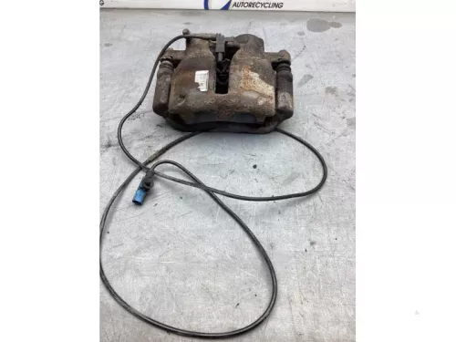 Remklauw (Tang) rechts-achter-8173331